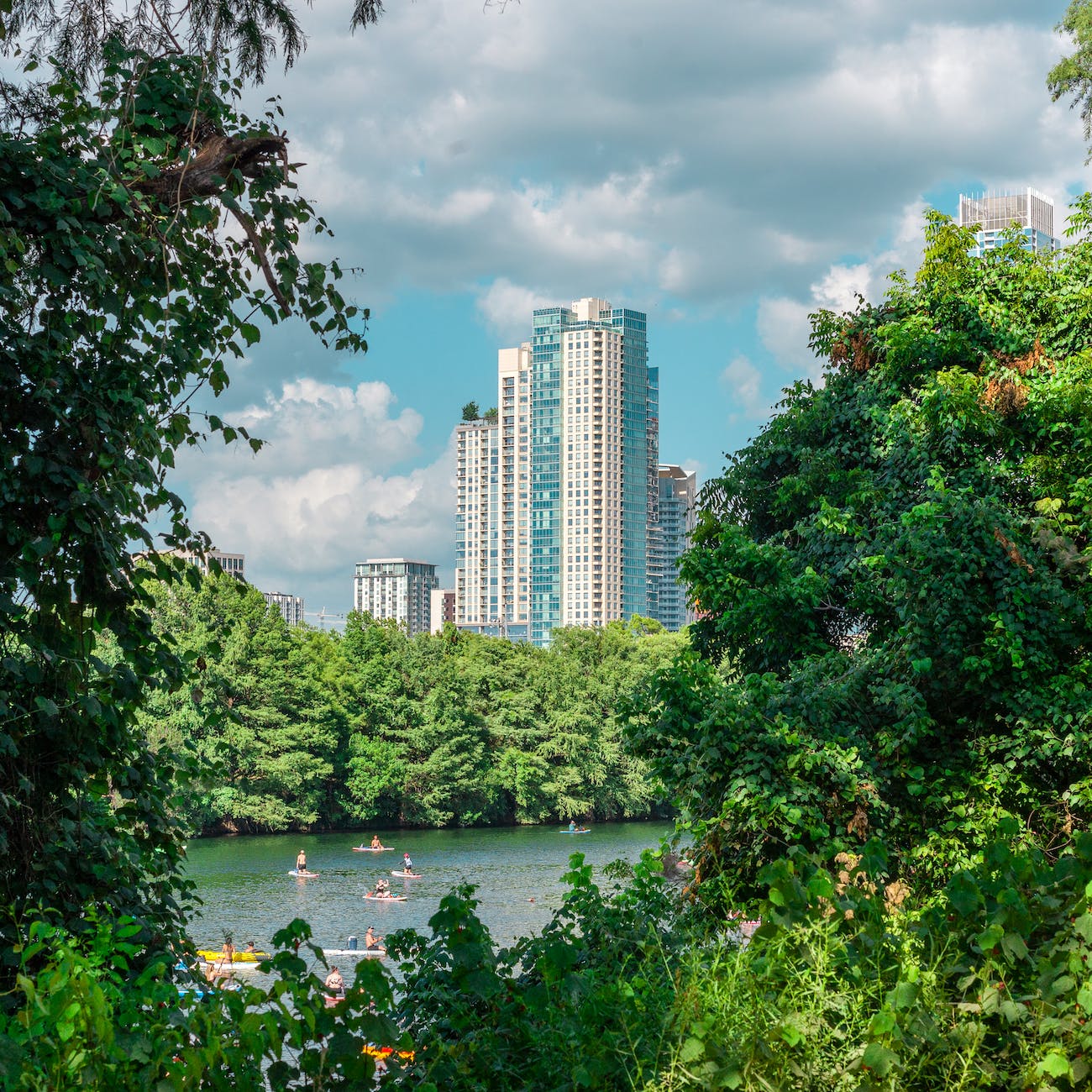 austin through the trees