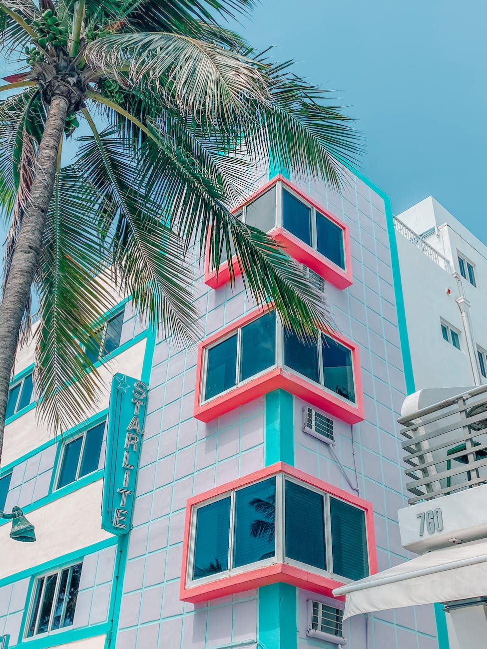 palm tree near building